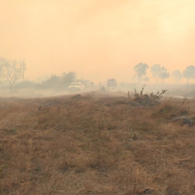 До 10 хил. дка се разрасна пожарът при село Присадец