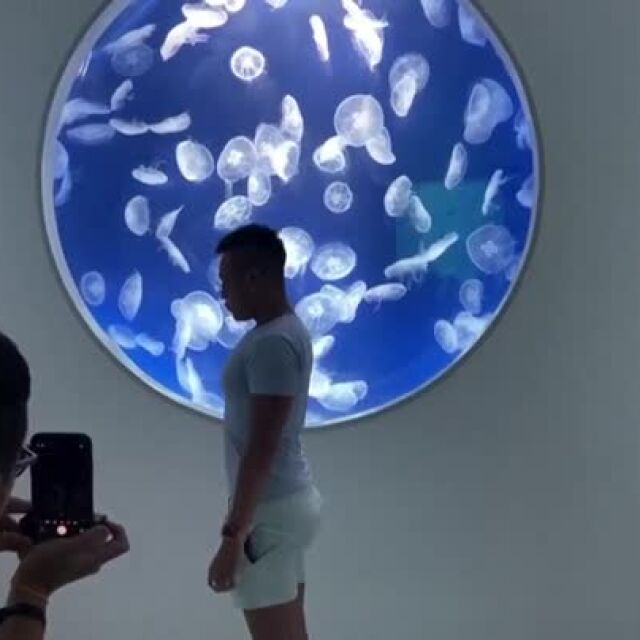 Под водата като в Космоса: невероятен аквариум в Тайван (ВИДЕО)