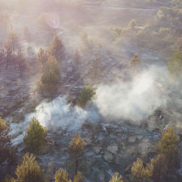 Всички пожари в Хасковско са потушени