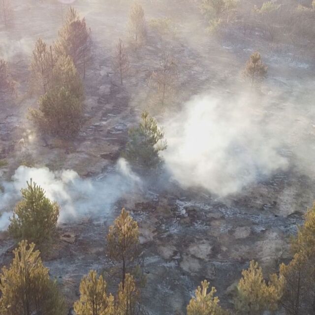Огнената стихия в Хасковско: Нови пожари и усложнена обстановка (ОБЗОР)