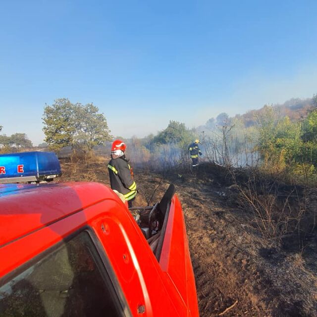 Потушен е пожарът в Хасковско, обхванал гори и земеделски земи 