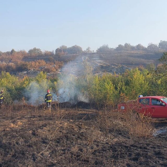 Нов пожар погълна 500 дка в Хасковско