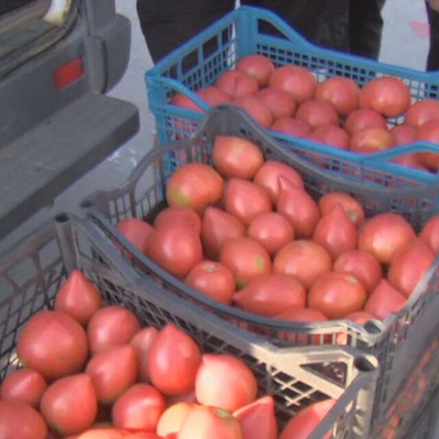 Зеленчукопроизводители: Българските домати са 80 ст. на борсата, а търговците ни изнудват за цената
