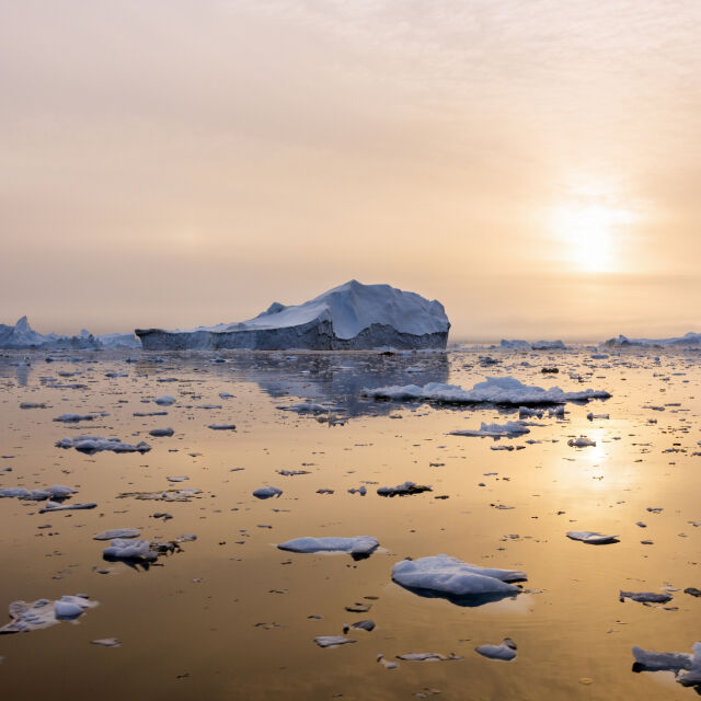 Учени: След 15 години лятото на Северния полюс ще е без лед