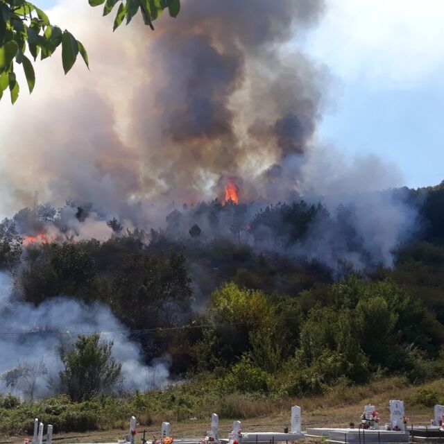 Подпали се ловно стопанство „Тракия“: Над 50 дка гора изгоряха