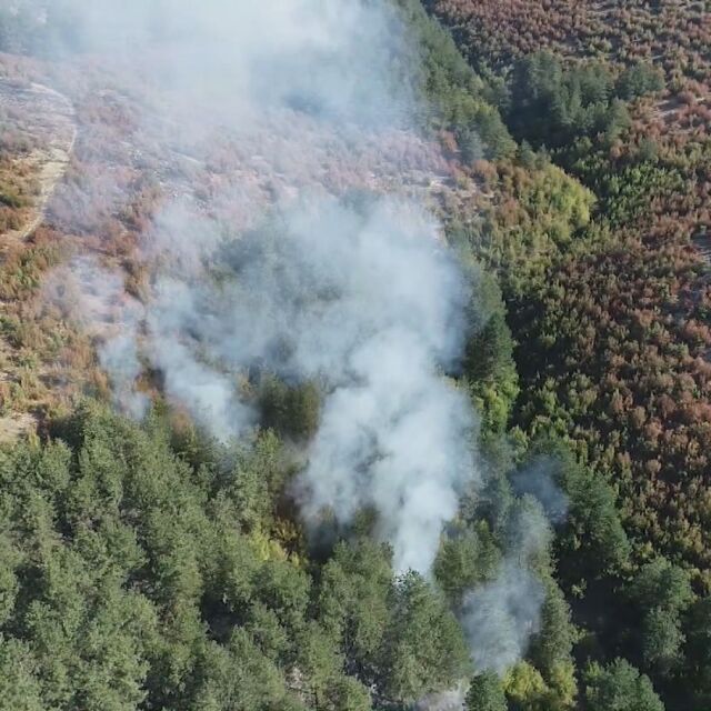 Локализиран е горският пожар в Сливенско