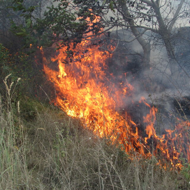 Два пожара горят в област Стара Загора