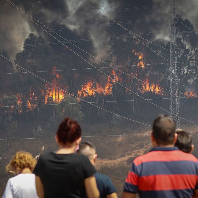 Горски пожар в Южна Испания принуди 2400 души да се евакуират 
