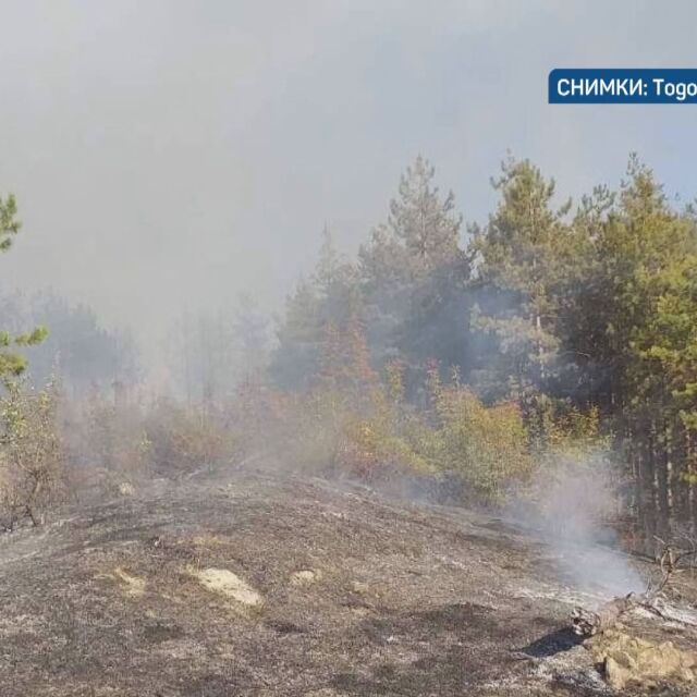 Два нови горски пожара в Пловдивска област