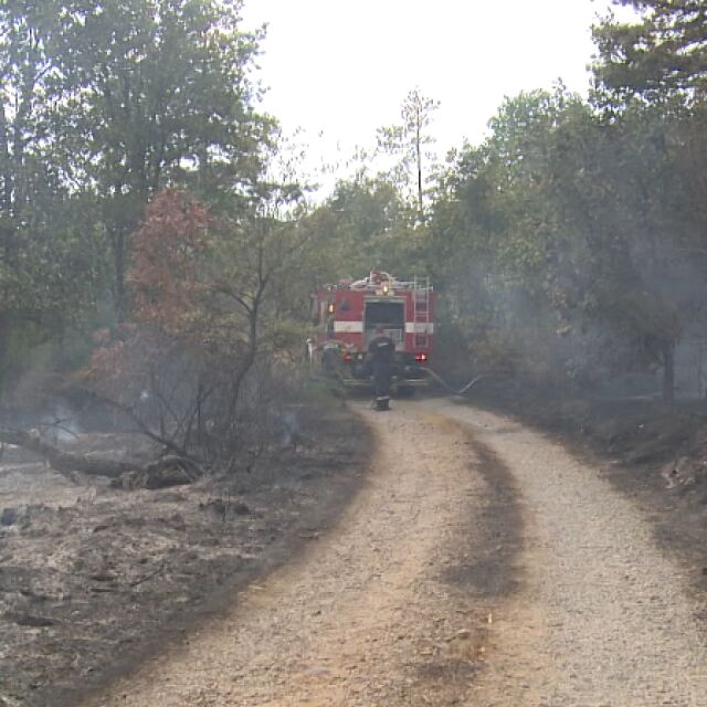 Пожарът край хасковското село Брягово е овладян