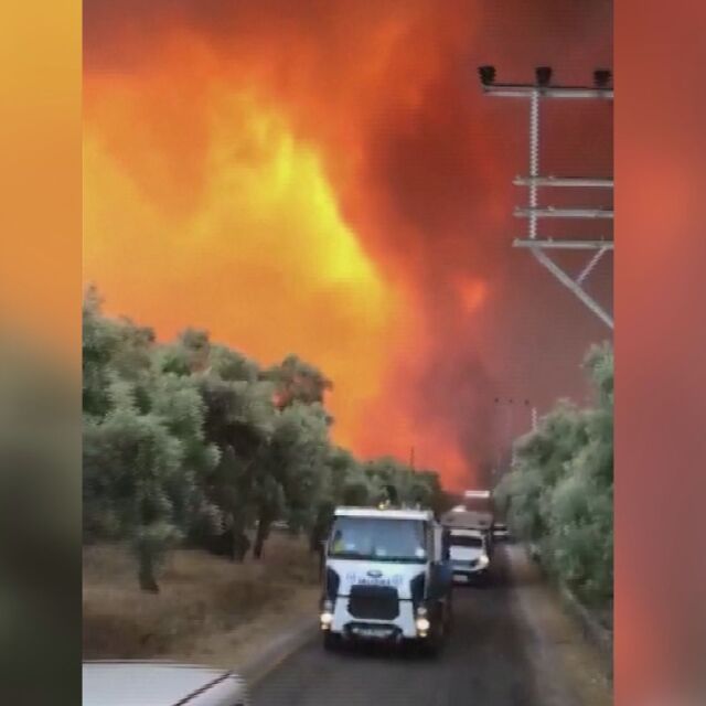 В Турция жертвите на горските пожари вече са 8 