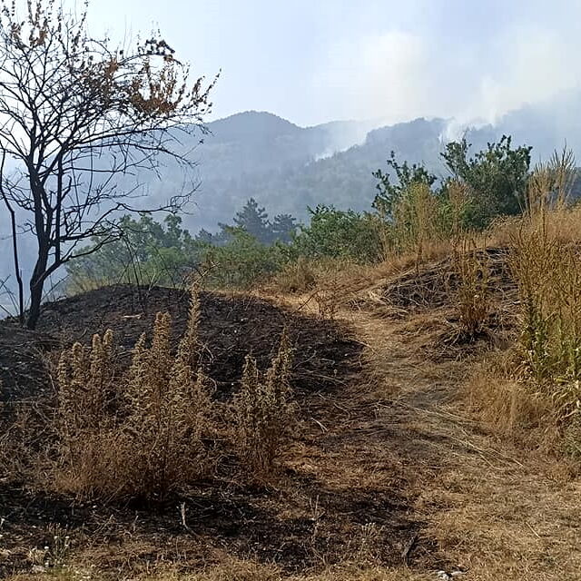 Локализиран е пожарът в Стара планина
