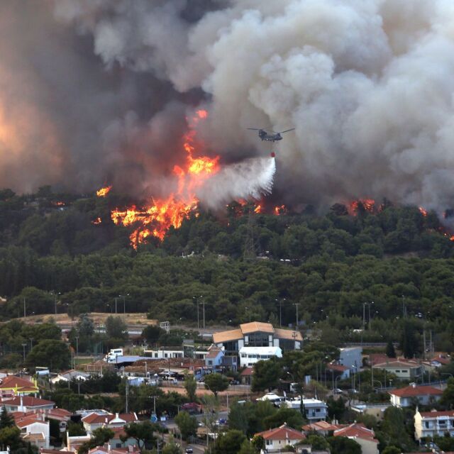 Хиляди евакуирани от предградия на Атина заради голям пожар 