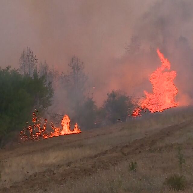 Пожари и в С. Македония: Български огнеборци помагат за битката с пламъците