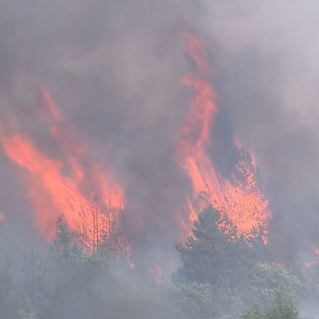 Пожарът в С. Македония е все по близо до България