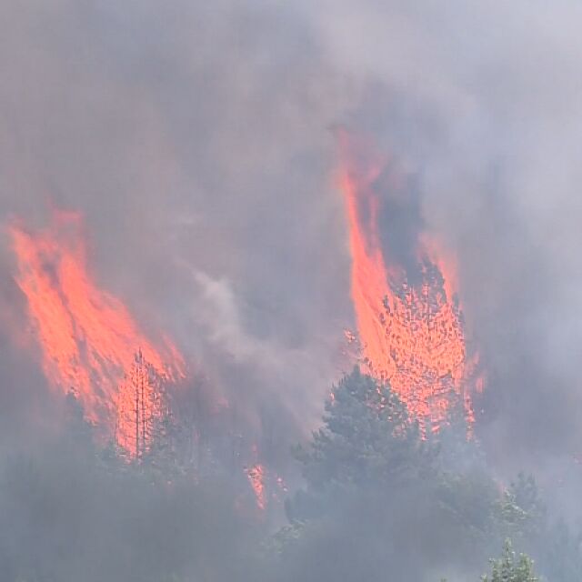 Огнената стихия в С. Македония: Пламъците са на 4 км от границата ни