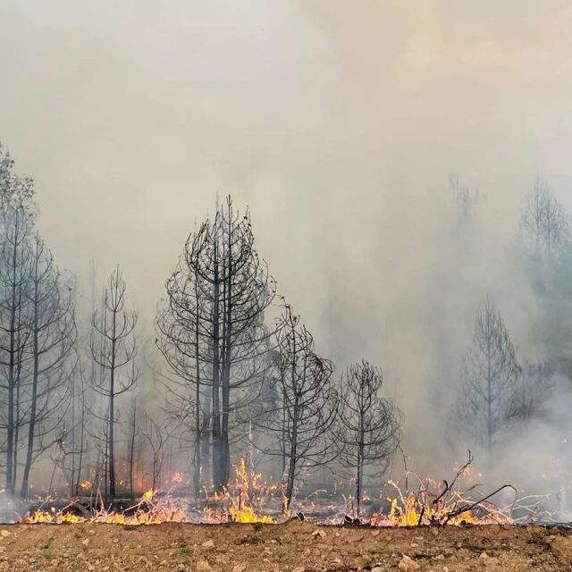 Опасност от пожари в 16 области в страната 