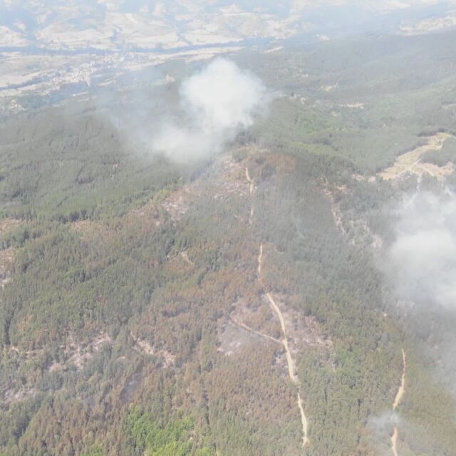 Над 600 декара смесена гора са обхванати от пожар в Кюстендилско   