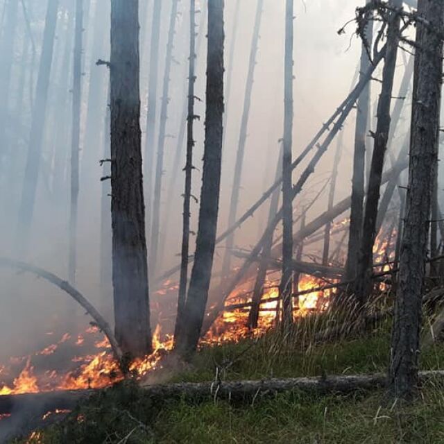 Два хеликоптера и 100 души гасят пожара в Родопите