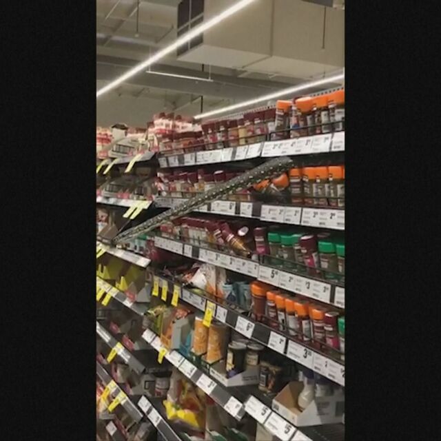 Неочаквана промоция: Змия изплаши посетители в супермаркет в Австралия (ВИДЕО)