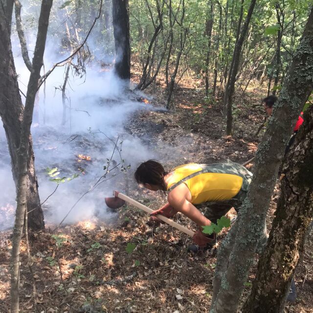 Пожарът край Югово: Доброволци с остра критика към действията на държавата