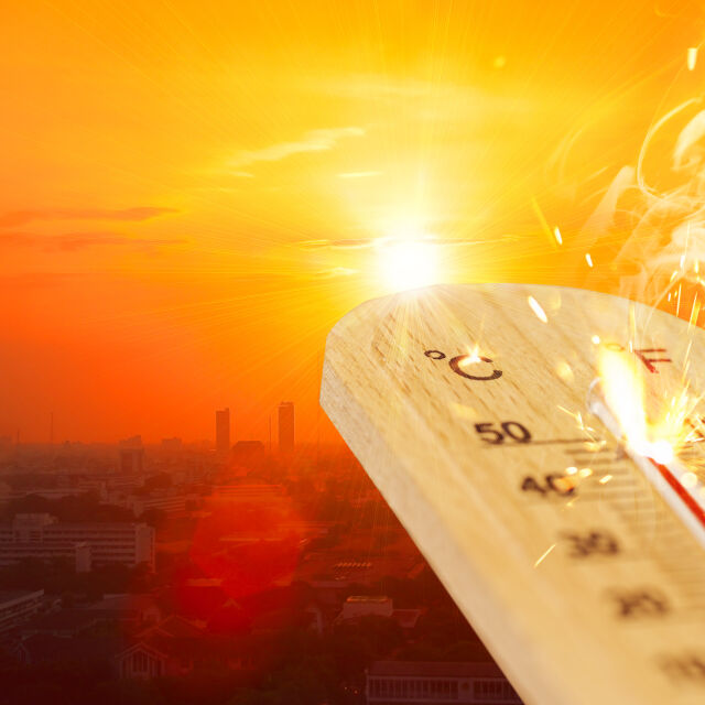  Още климатични върхове през най-топлия февруари в света 