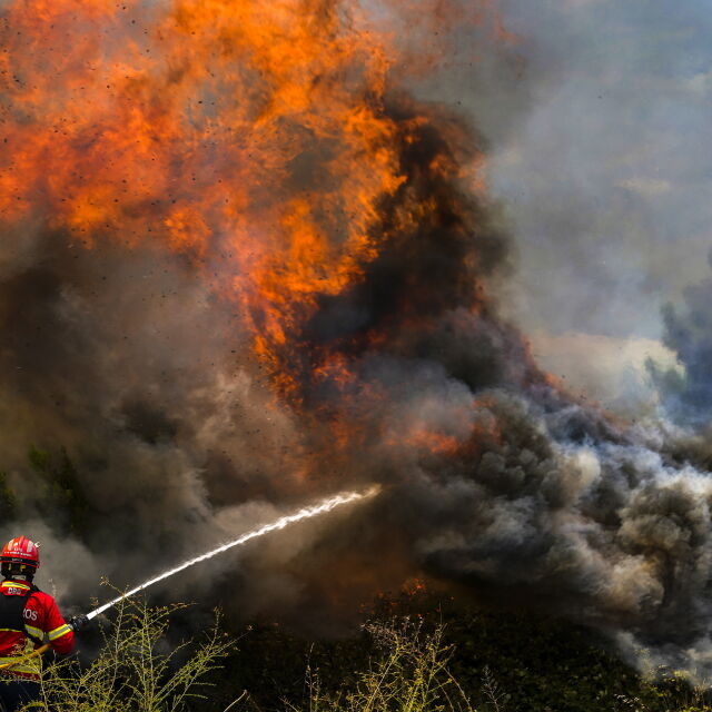 Европа в пламъци: Какви щети причиниха свирепите горски пожари (ВИДЕО)