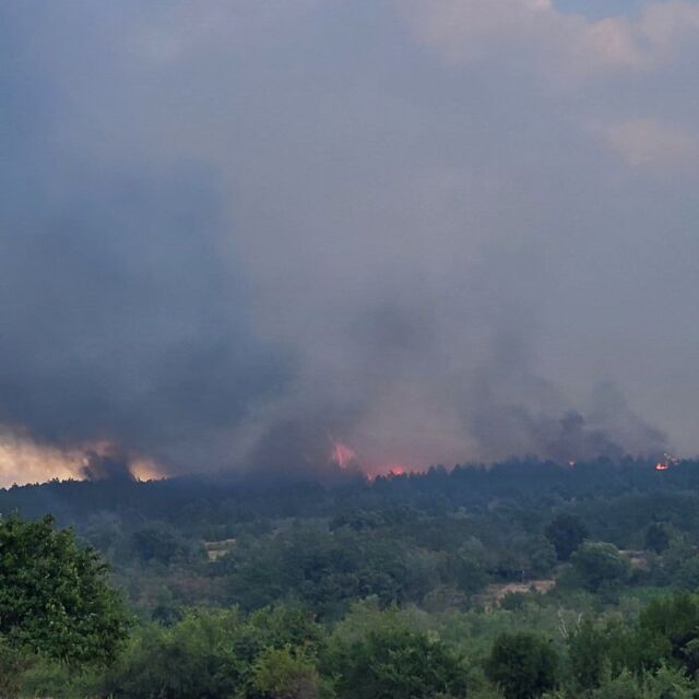 Безсънна нощ в село Елшица заради големия пожар
