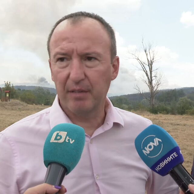 Зам.-министър за пожара в Елшица: Засегнати са основно горски територии