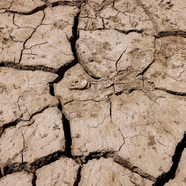 Невиждана суша от 1200 години: Испания се бори с липсата на вода (ВИДЕО)