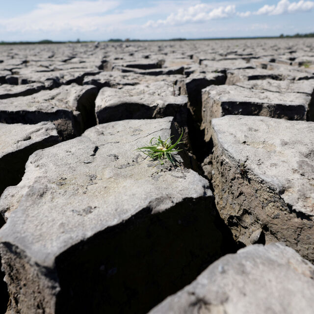 Невижданата суша в Европа е опасност за производството и доставките на ток