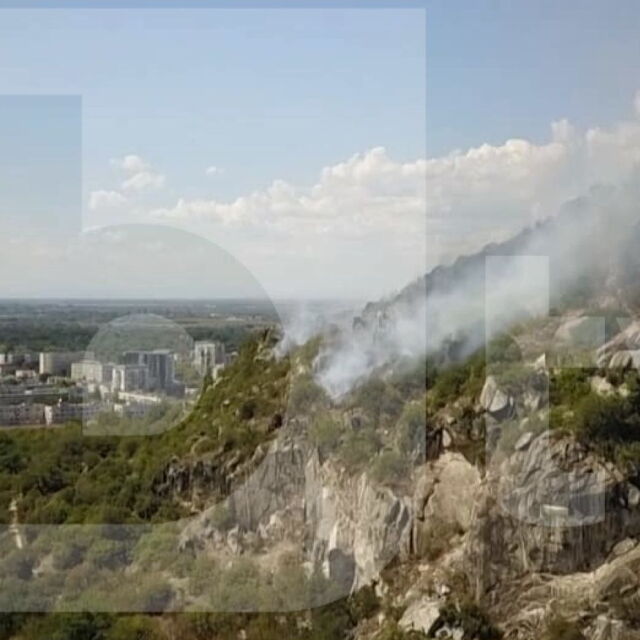 След пожара на Младежкия хълм: Доброволческа инициатива се грижи за парка