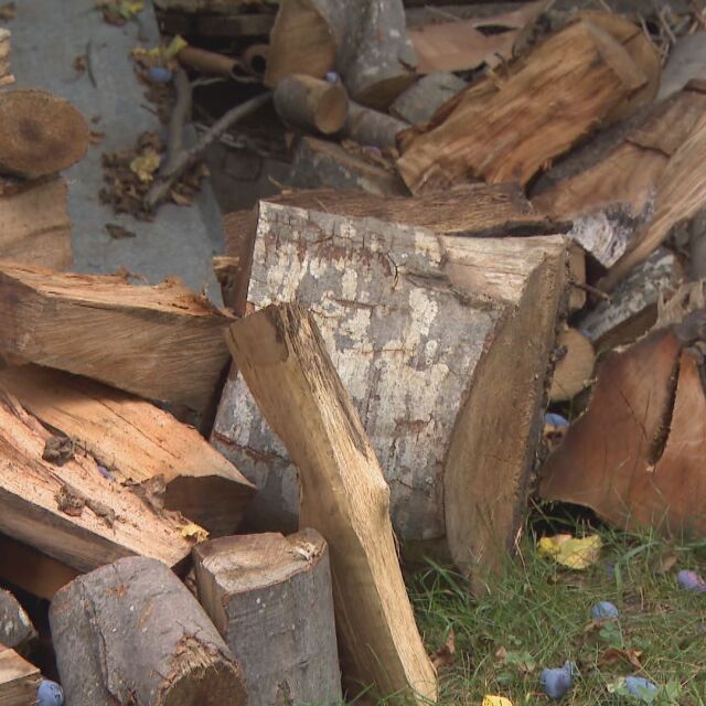Недостигът на дърва: Властите спират износа за трети страни