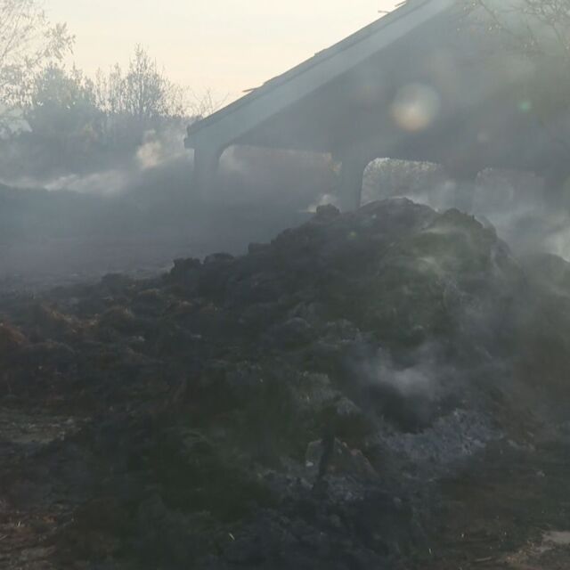 Няма загинали патици при пожара в птицефермата край Враца