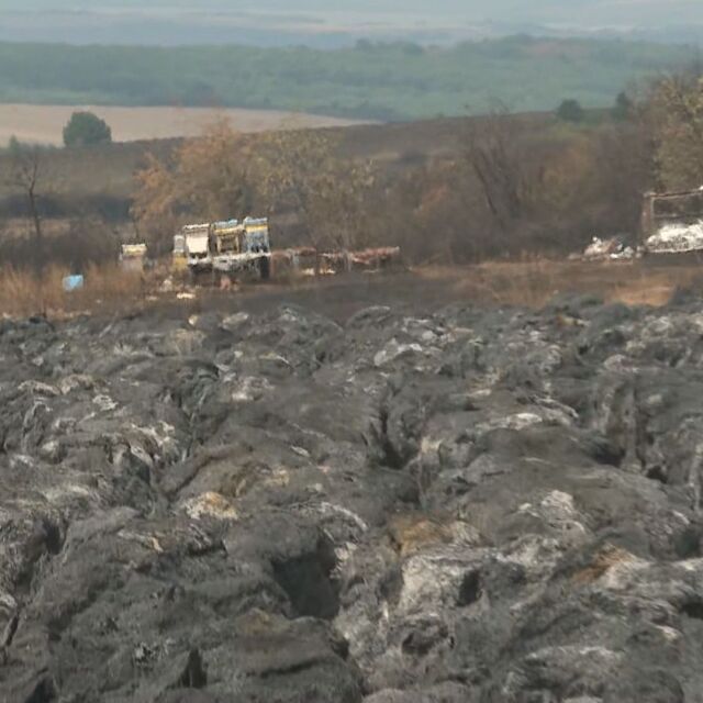 Пожарът край Враца: 300 кошера с пчели и 3 тона мед са изгорели