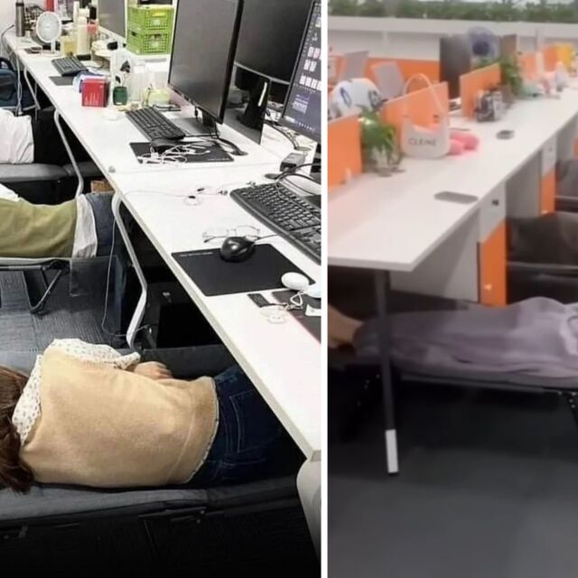 „Инемури“: Японската култура на спане на работното място (ВИДЕО) 