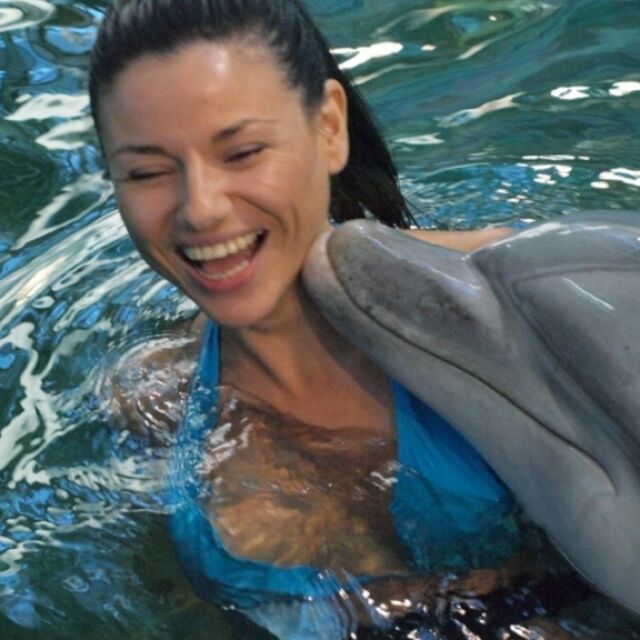 Колко струва да плуваш с делфин в България?