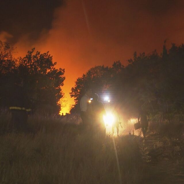 Пожарът в Бургаско: Две нови огнища са се възпламенили в гората край село Изворище
