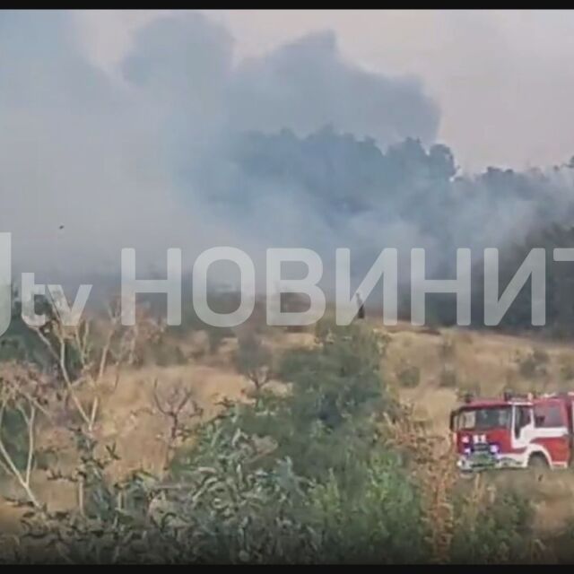 От „Аз, репортерът“: Пожар в Сливенско (ВИДЕО)