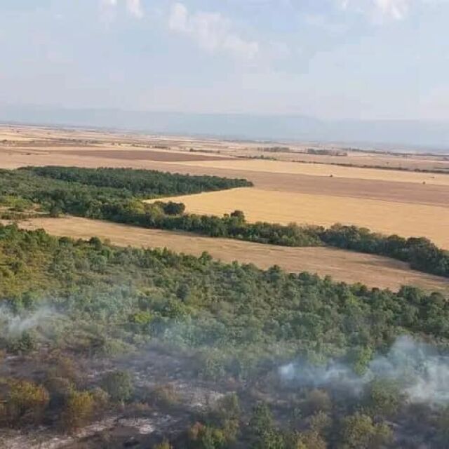 Потушен е горският пожар в землището на село Бабек (СНИМКИ)