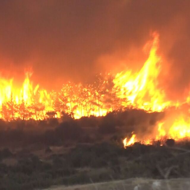 Огънят край Александруполис: Със стихията се борят 200 пожарникари, доброволци и полиция