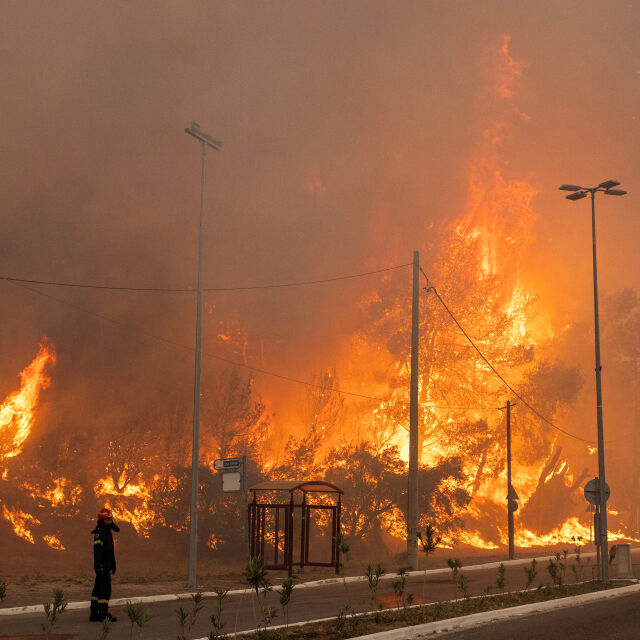 119 ареста за причиняване на пожари поради небрежност в Гърция, 27 - за умишлен палеж