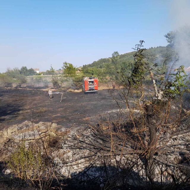 Пожар в село Варвара край Пазарджик: Горяха сухи треви