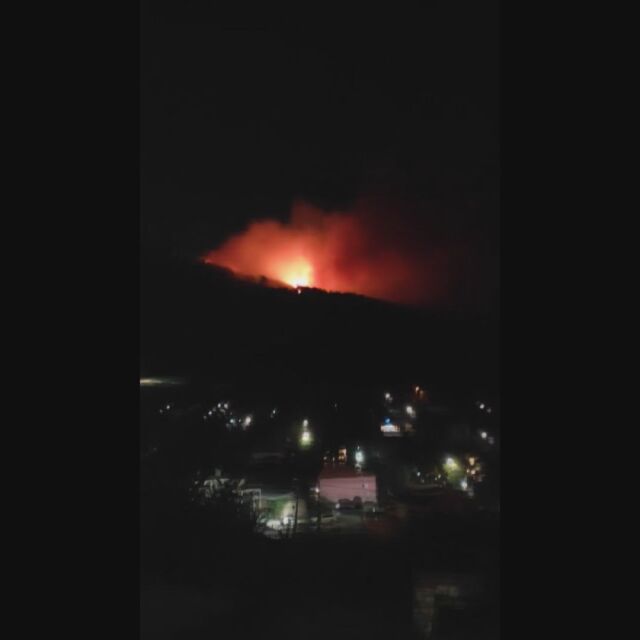 Голям пожар гори в гората над Радомир (ВИДЕО)