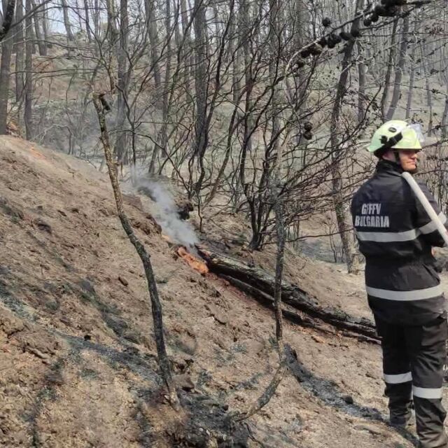  Пожарите в Гърция: Борбата продължава, оказват помощ български пожарникари 