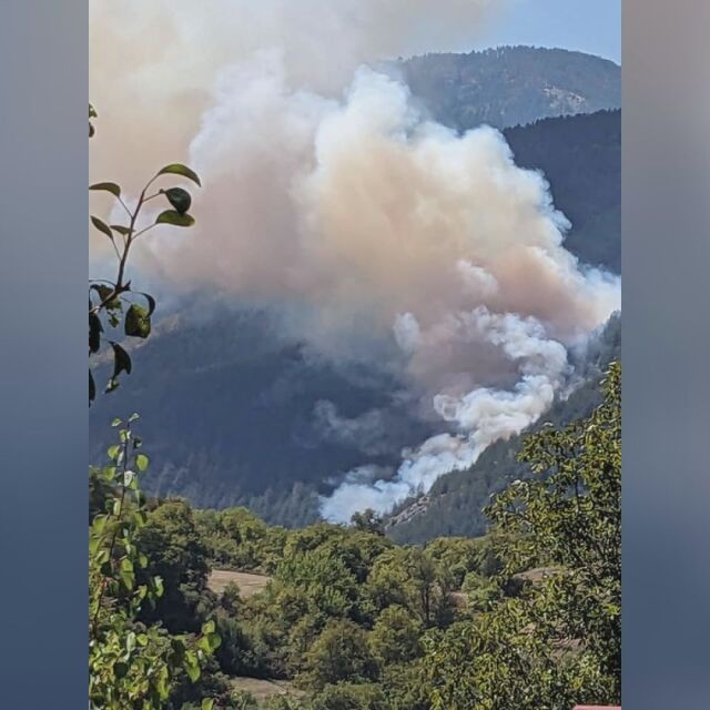 Голям горски пожар между Хвойна и Чепеларе (СНИМКИ и ВИДЕО)
