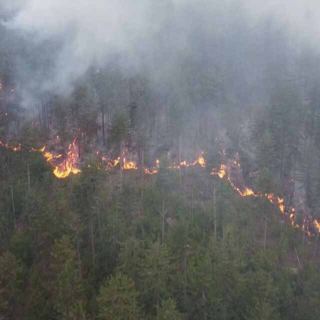 Пожарът над Хвойна е локализиран: Все още има няколко огнища