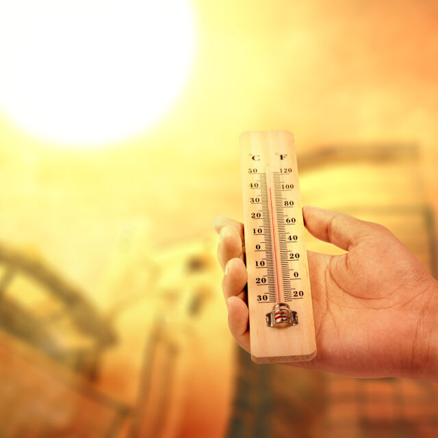  СЗО: Горещините убиват над 175 000 души в Европа годишно 