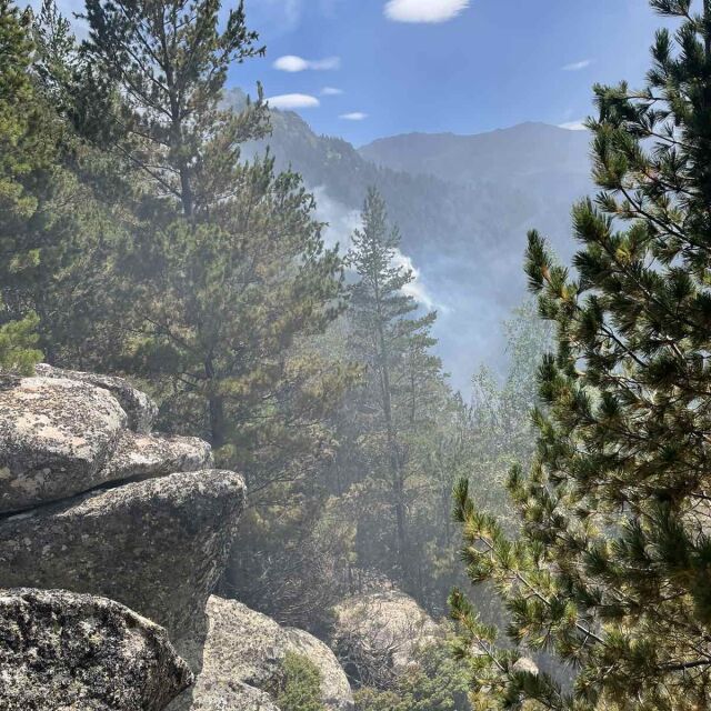  Пожарът в Рила: Ситуацията е сериозна, възобнови се второ огнище 