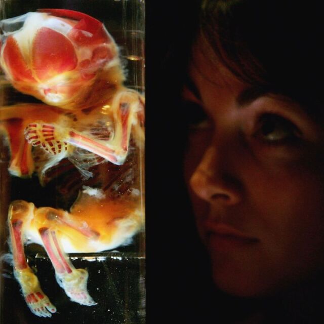  Учени: Китайските генноредактирани бебета може да имат други неоткрити промени в генома си 